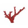 Image 5 : Antique Chinese Red Branch Coral Natural Trees