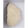 Image 4 : Elephant Bird Eggshell Ancient Fossil Madagascar