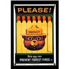 Image 10 : Smokey Bear U.S. Forest Service Porcelain Sign