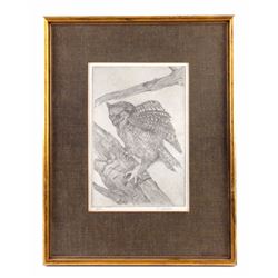 Montana Artist Tom Sander Framed Owl Etching