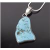 Image 2 : Turquoise Stone Pendent Necklace