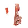Image 7 : Antique Chinese Red Branch Coral Natural Tree