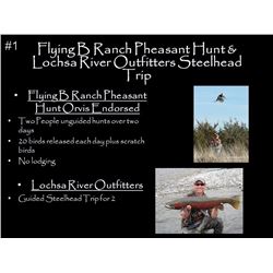 Flying B Pheasant Package plus guided Steelhead trip