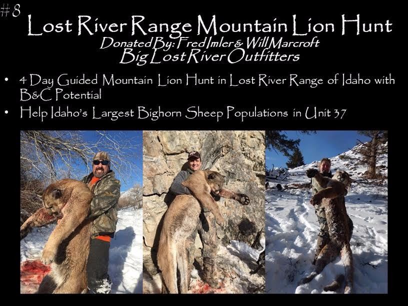 Idaho Mountain Lion Hunt