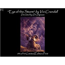 Eye of the Storm, by Vivi Crandell