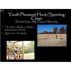 Youth Pheasant Hunt/ sporting clays, 22 range and archery