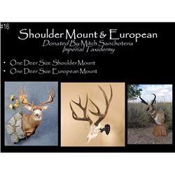 One Deer Size Shoulder Mount plus a European Mount
