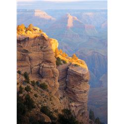 Guardians of the Canyon