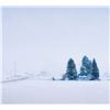 Image 1 : White Winter