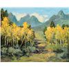 Image 1 : Mountains with Aspens