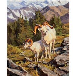 Dall Sheep Low on the Mountain