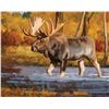Image 1 : Autumn Crossing