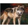 Image 1 : Eyes of the Wild