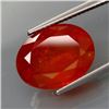Natural BIG  Spessartite Garnet Africa 11.70 Cts
