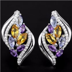 Natural Multi Gemstone EarRing