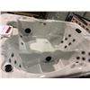 Image 1 : CAL SPAS PATIO SERIES HOT TUB WITH STERLING SILVER INTERIOR AND ACRYLIC MIST CABINET,