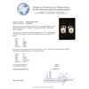 Image 3 : 0.92 ctw Diamond Solitaire Earrings - 14KT White Gold