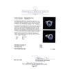Image 5 : 3.53 ctw Tanzanite and Diamond Ring - 14KT White Gold