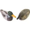 Image 1 : Collection of 2 duck decoys one unmarked the other Stoddard No. 68 with glass eyes.