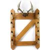 Vintage deer hoof gun rack, mounted antler holding 4 individual guns, great for the cabin decor.