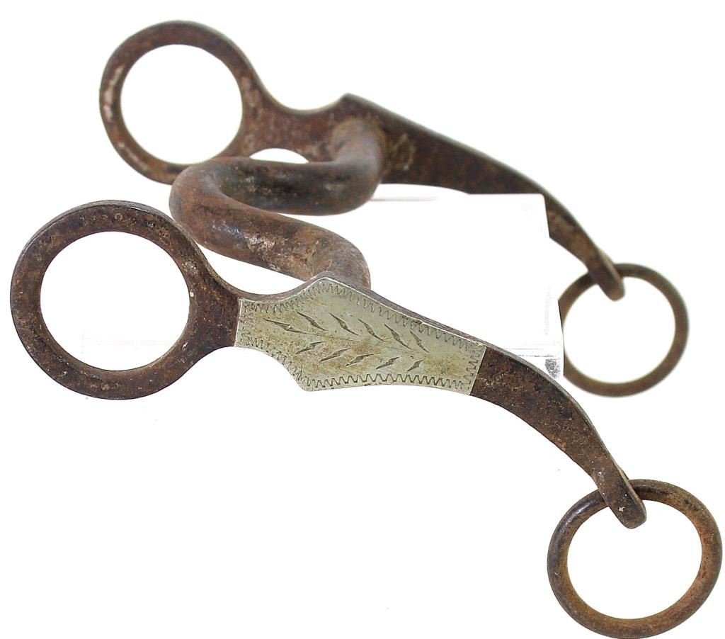 Short Shank Grazing Bit Silver Overlaid 5 1 2 Cheeks Original Rein