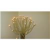 Image 2 : Modern Coral/Pearl Stud Lamp