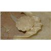 Image 3 : Antique Carved Alabaster Tray - Floral Motif Approx. 12X9