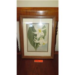 Framed Mixed Media: Lilly of the Valley 14X18