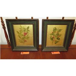 Qty 2 Framed Original Painting on Canvas: Botanical - by C.A. Robinson 12X14