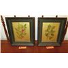 Image 1 : Qty 2 Framed Original Painting on Canvas: Botanical - by C.A. Robinson 12X14