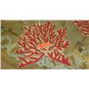 Image 3 : Qty 6 Beaded Red Coral Placements (1 new, 5 used) - $110 Each (Neiman Marcus Retail)