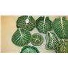 Image 3 : Large Lot of Belo (Portugal) Glazed Green Ceramic Cabbage Serveware, Trays, Bowls, Plates, etc.
