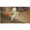 Image 5 : Mossaic Glass Bust, Stained Glass Nautilus, 2 Glass Pyramids, Ceramic Cherub