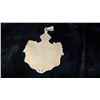 Image 3 : 14K Gold Heirloom Pendant - Hawaiian Kingdom Crest Enameled Green/Red Gold 18g