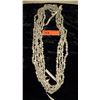 Image 2 : 5-Strand Tahitian ? Shell Lei Necklace