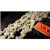 Image 9 : 5-Strand Tahitian ? Shell Lei Necklace