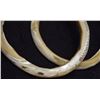 Image 8 : TWO AFRICAN SHELL BRACLETS