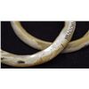 Image 9 : TWO AFRICAN SHELL BRACLETS