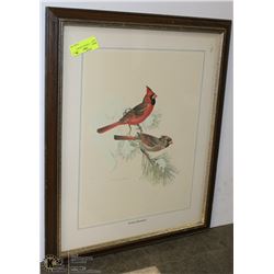 EASTERN CARDINAL FRAMED PICTURE