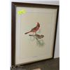 Image 1 : EASTERN CARDINAL FRAMED PICTURE