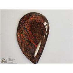 #12-GENUINE CANADIAN AMMOLITE