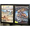 Image 1 : LOT OF TWO 3D FRAMED PICTURES INCL ROLLING