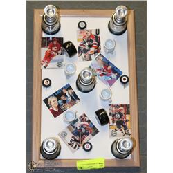 HOCKEY MEMORABILIA DISPLAY