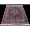 Image 1 : Gorgeously detailed Bidjar design Rug