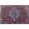 Image 2 : Gorgeously detailed Bidjar design Rug