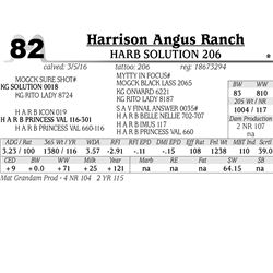 Lot 82 - HARB Solution 206