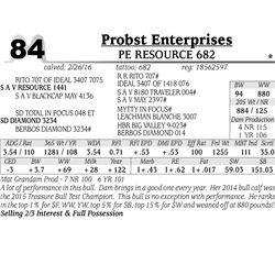 Lot 84 - PE Resource 682