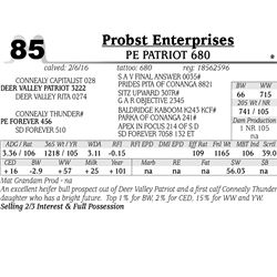 Lot 85 - PE Patriot 680