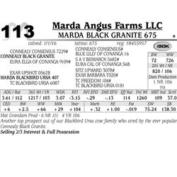 Lot 113 - Marda Black Granite 675