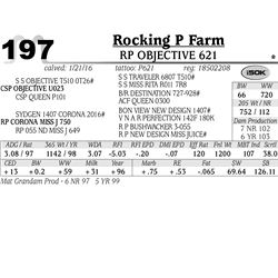 Lot 197 - RP Objective 621